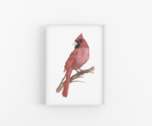 Load image into Gallery viewer, Watercolor Cardinal Art Print