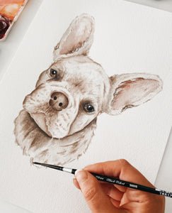 Custom Watercolor Pet Portrait