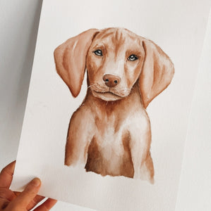 Custom Watercolor Pet Portrait