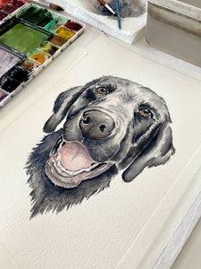 Custom Watercolor Pet Portrait